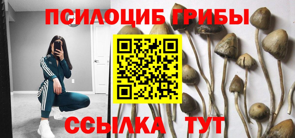 Галлюциногенные грибы Psilocybe  Вход с VPN  Искитим  Галлюциногенные грибы Magic Shrooms 