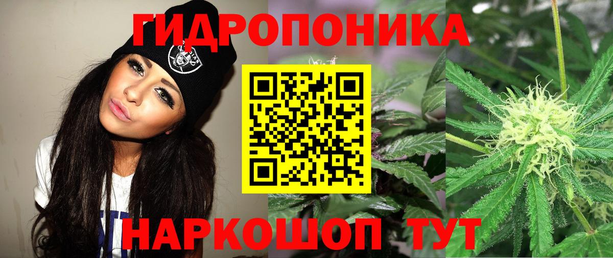 Искитим  Шишки марихуана LSD WEED  Вход с VPN  МАРИХУАНА марихуана  Каннабис White Widow 