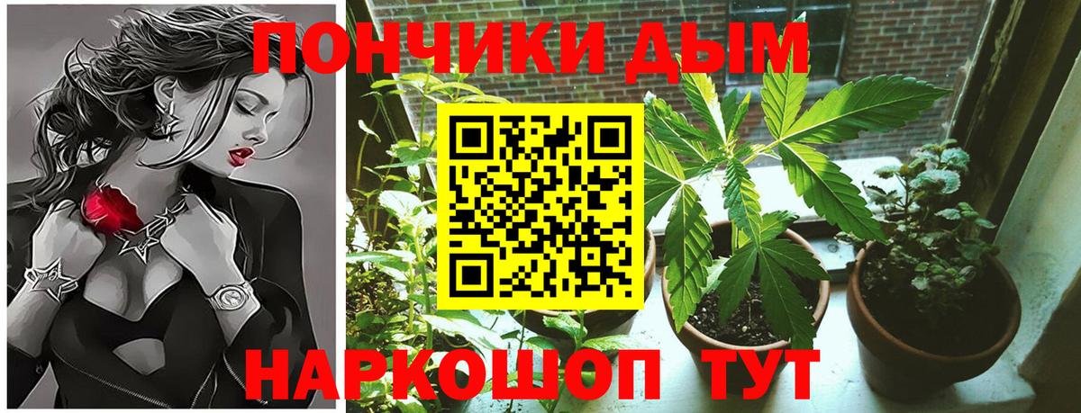 Шишки марихуана SATIVA & INDICA Искитим